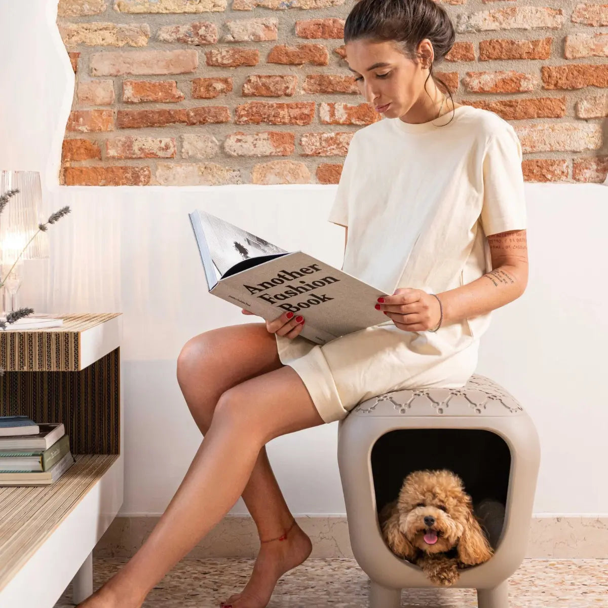 pet design