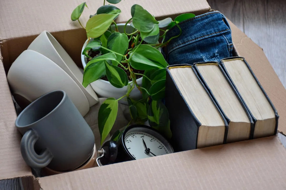 decluttering in casa