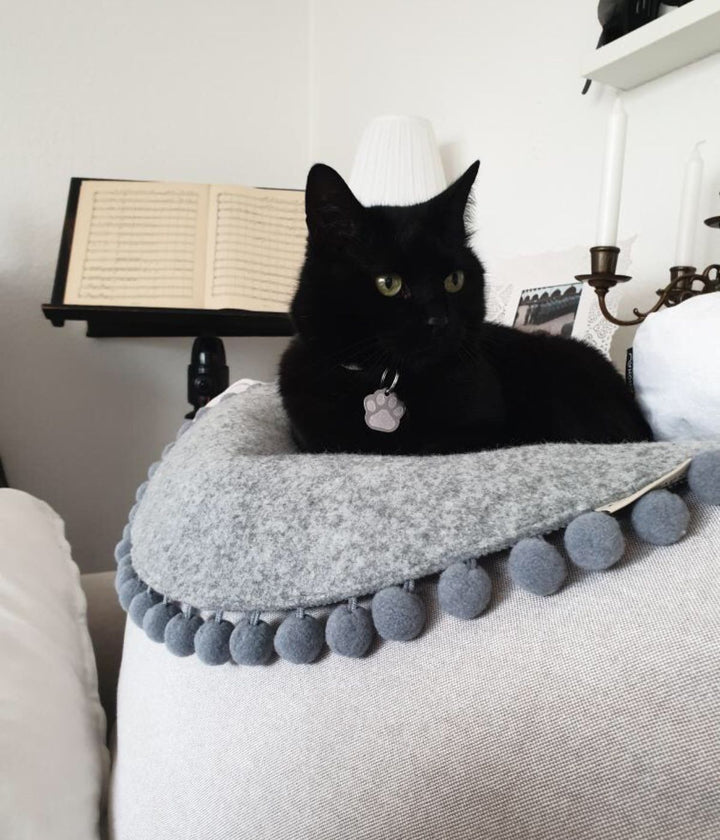 Gatto nero sul divano sopra un cuscino per gatti in feltro morbido grigio con pompon decorativi. 