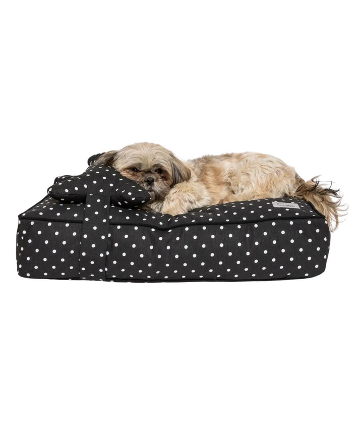 cagnolino marrone chiaro sdraiato su Cuccia letto per cani nero con pois bianchi e cuscino a forma di osso