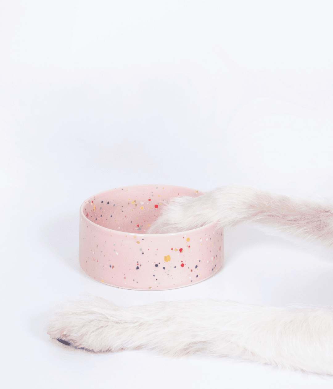 Ciotola per cane e gatto rosa con puntini colorati. Una zampa bianca di cane dentro la ciotola e una di lato. Sfondo bianco.