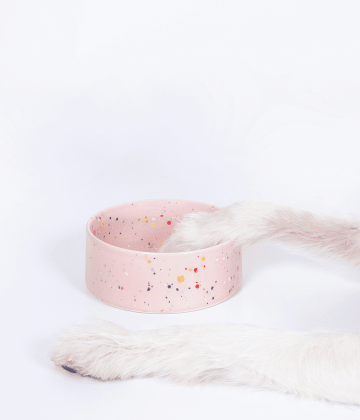 Ciotola per cane e gatto rosa con puntini colorati. Una zampa bianca di cane dentro la ciotola e una di lato. Sfondo bianco.