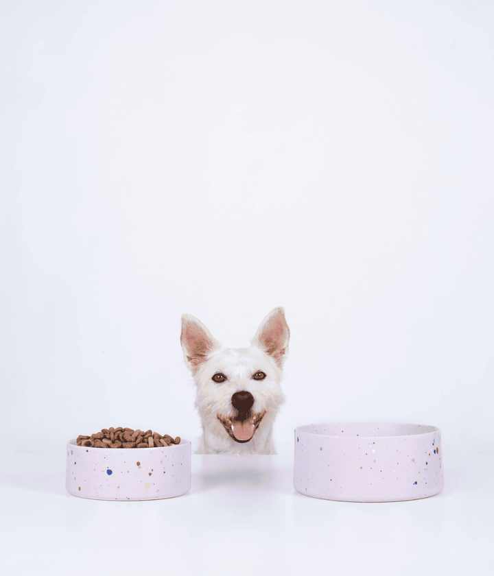 Due ciotole rosa con puntini colorati, piccola con croccantini e grande con acqua. Cane bianco centrale. Sfondo bianco