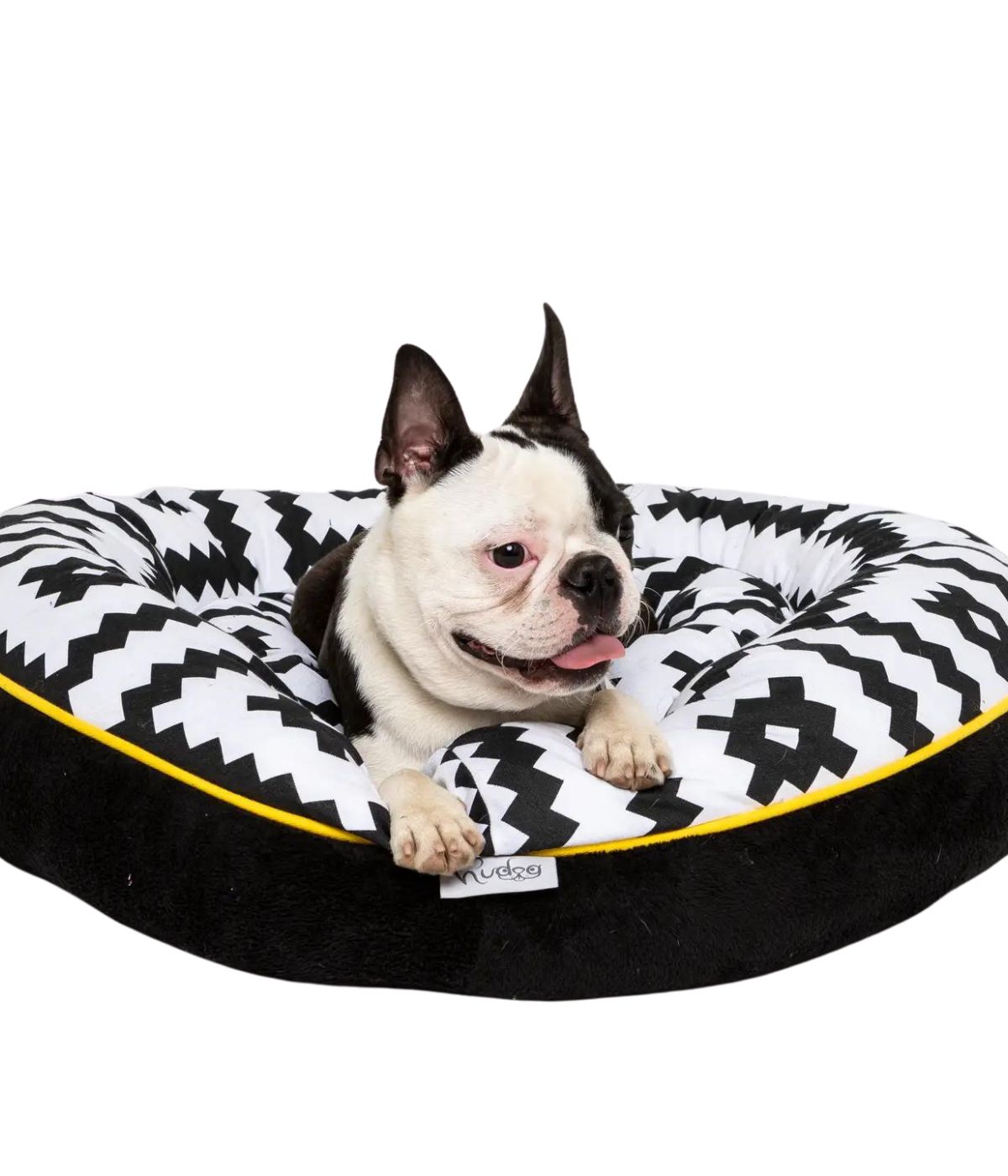 Bulldog steso sulla cuccia reversibile estate inverno per cani e gatti. Sfondo bianco