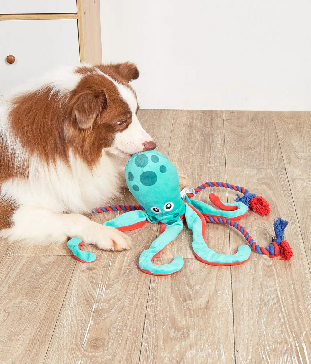 Cane bianco e marrone che gioca con Polipo azzurro e rosso, tentacoli in corda. Sfondo bianco