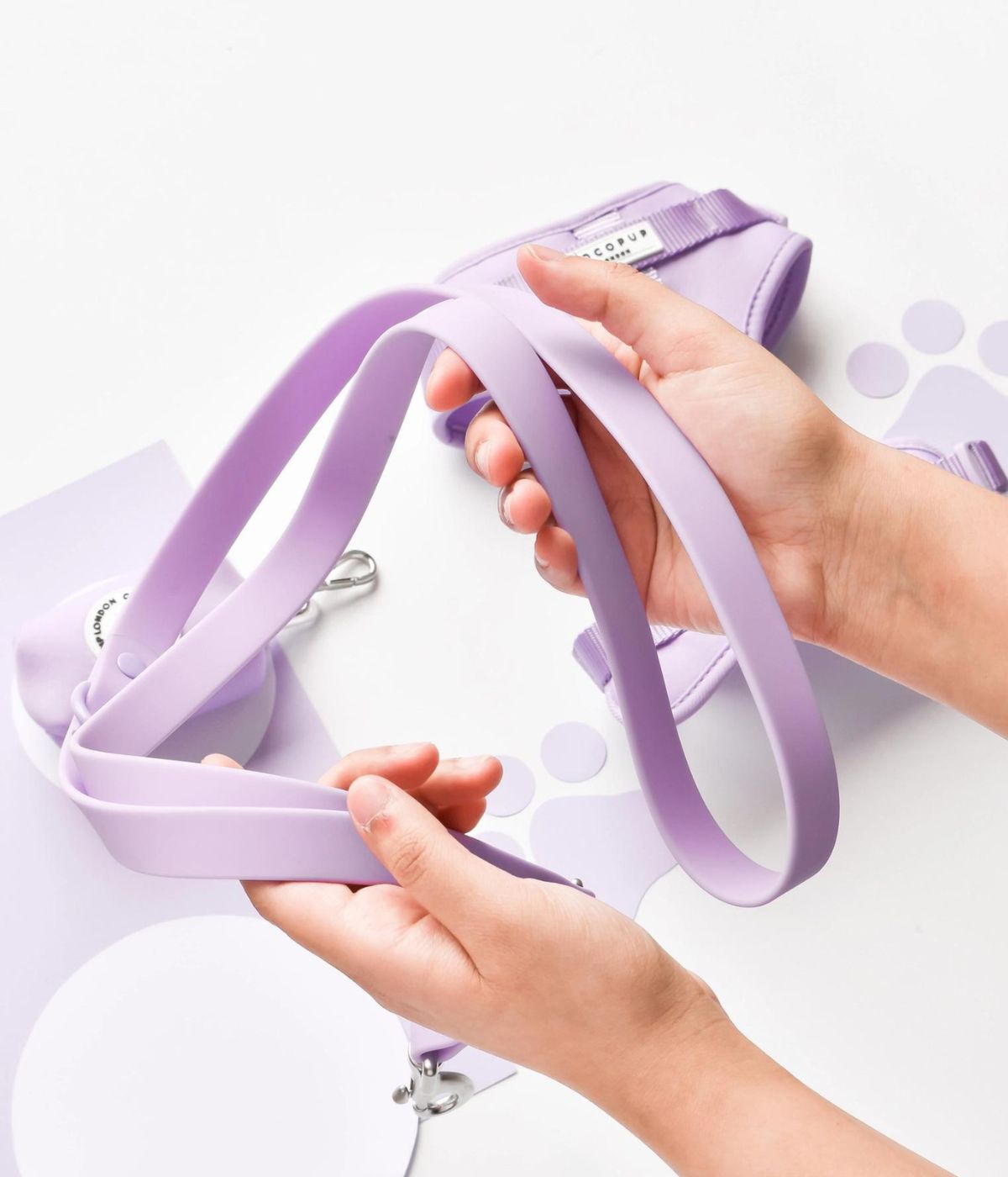 Primo piano di una persona che tiene in mano il guinzaglio per cane lilla. Secondo piano pettorina