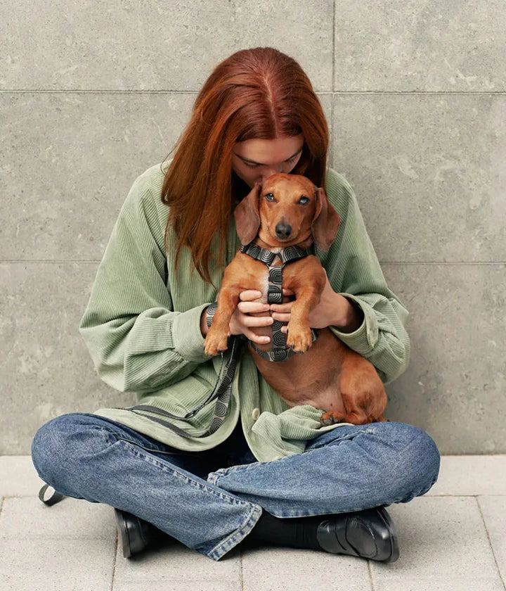 Donna che tiene in braccio un bassotto con pettorina e disegni ad arco verdi. Sfondo muro grigio.