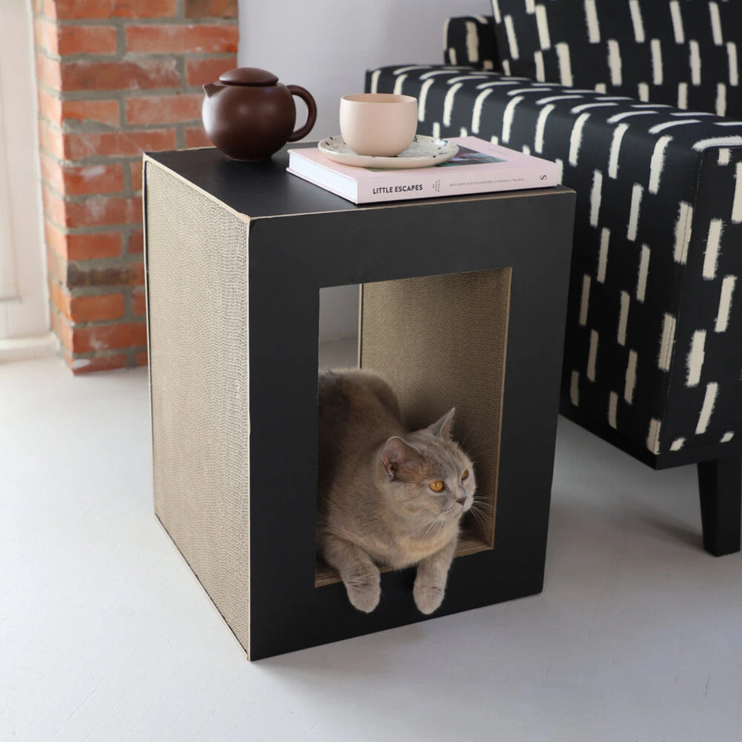 Gatto grigio accucciato nel buco del tiragraffi nero in cartone. Sopra appoggiati tazza e libro.