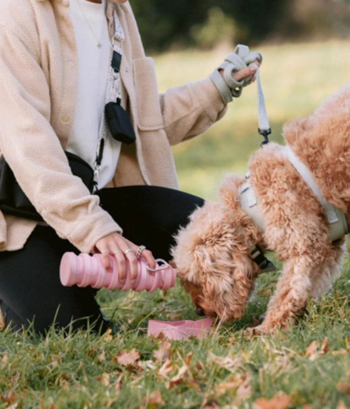 Persona che versa acqua nella ciotola da viaggio pieghevole rosa per un cane. Sfondo prato