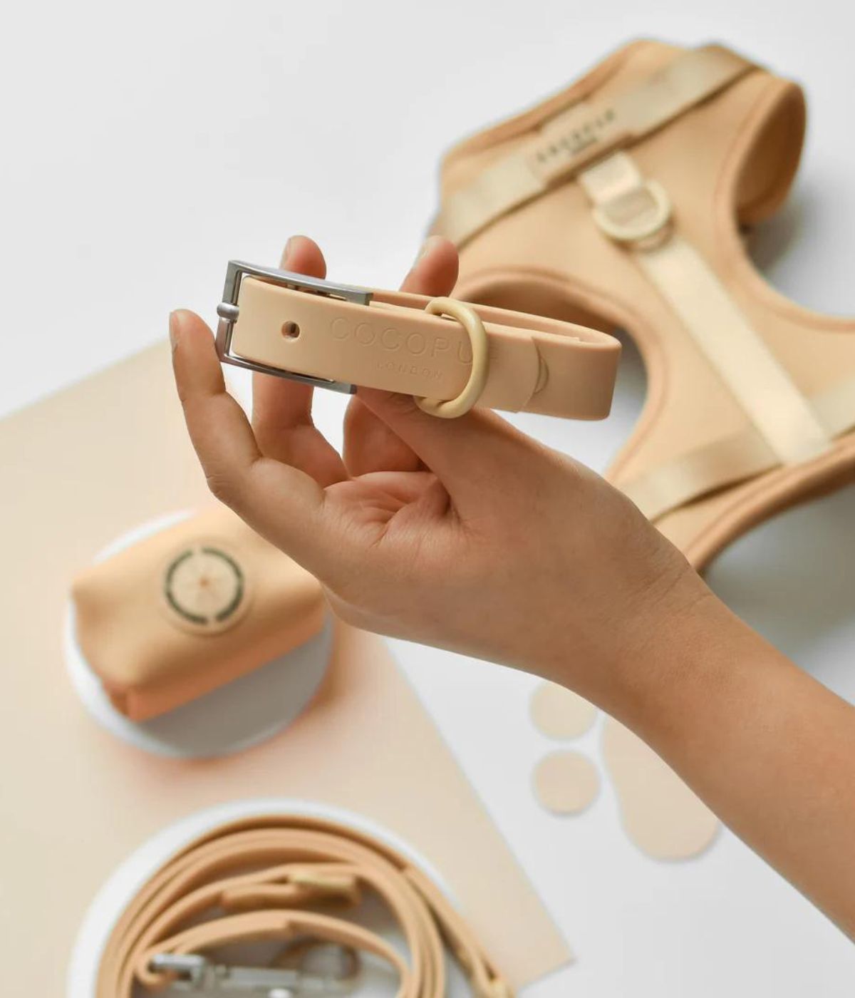 Mano che tiene il collare per cane color Biscotto, sullo sfondo guinzaglio e pettorina coordinati