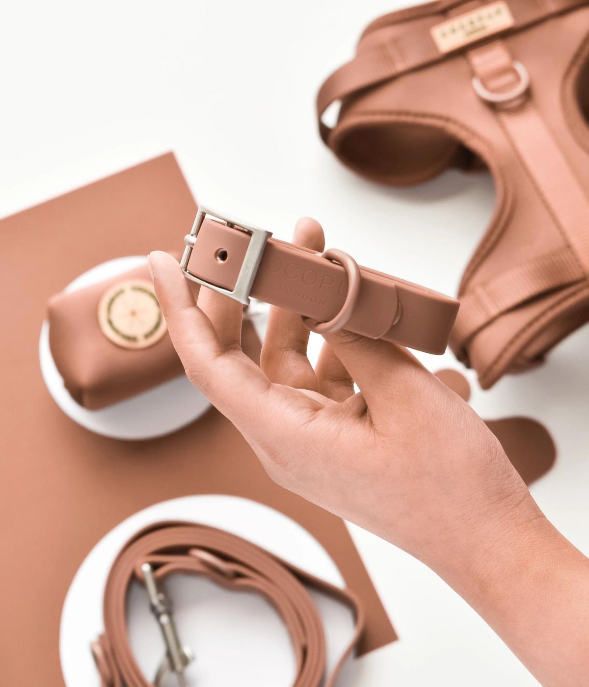 Mano che tiene il collare per cane marrone, sullo sfondo guinzaglio e pettorina coordinati