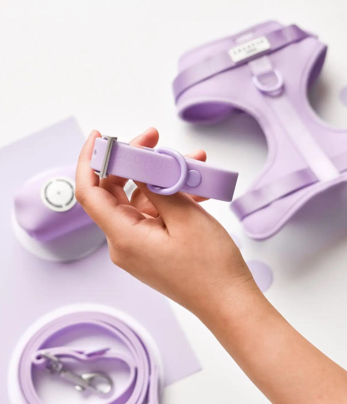 Primo piano di una mano che tiene il collare per cani Parma Violet lilla. Sullo sfondo pettorina