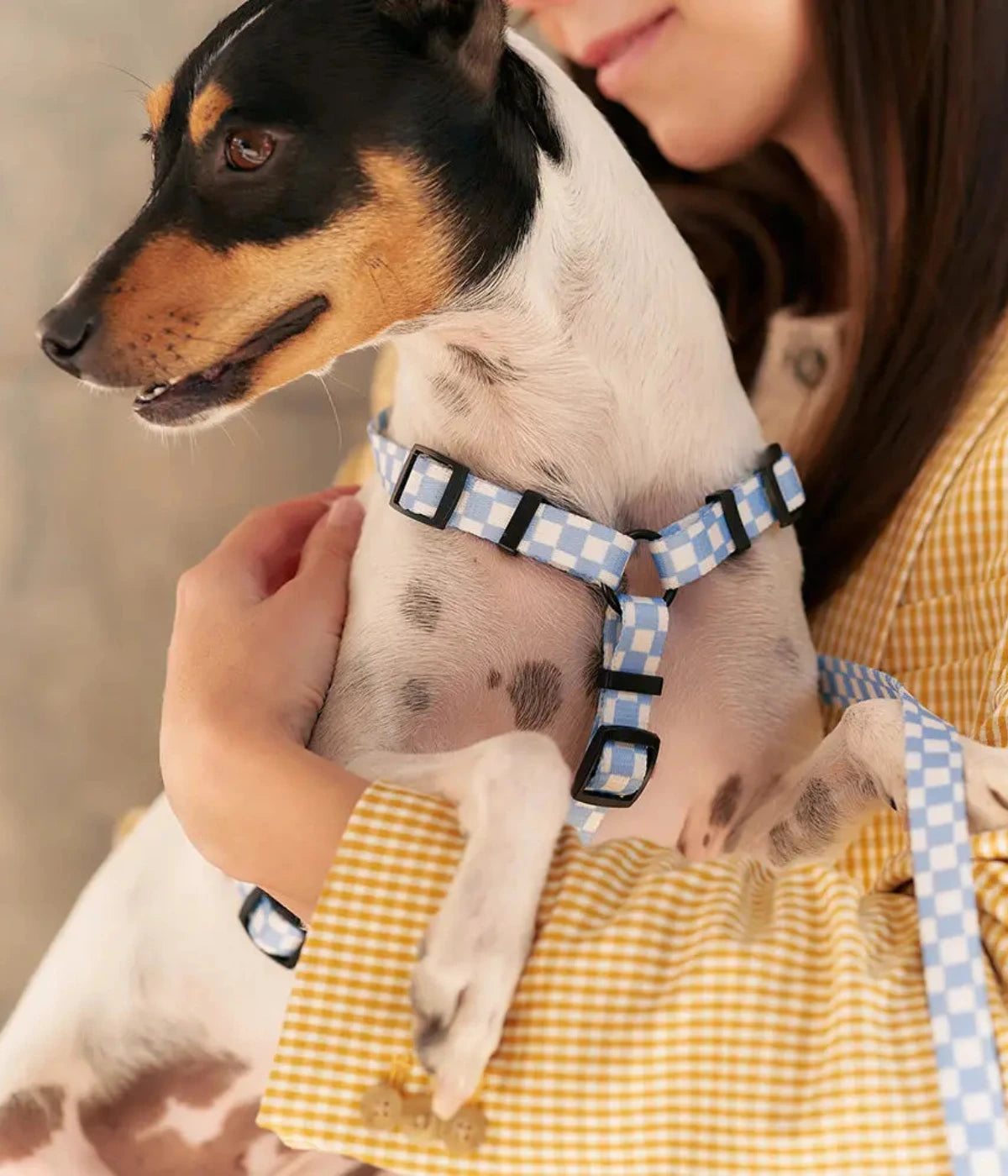 Donna con giacca che tiene in braccio un cane bianco con pettorina a quadretti bianchi e blu.