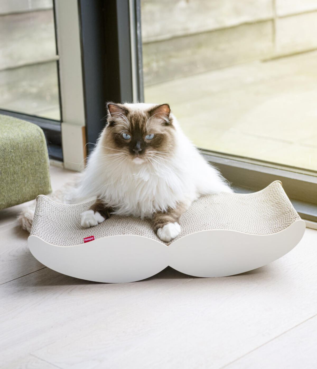 Gatto appoggiato su tiragraffi in cartone riciclato bianco. Sfondo pavimento e finestra.