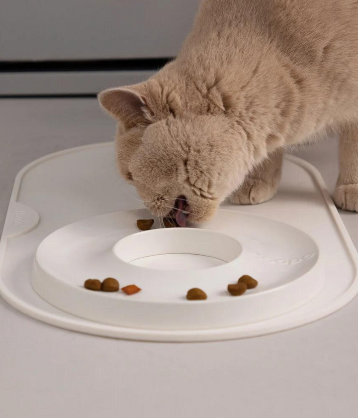 Gatto che mangia da ciotola ad anello bianca appoggiata su tappetino in silicone bianco.