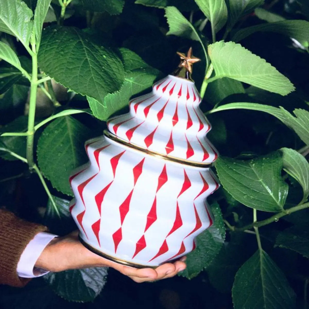 Biscottiera natalizia di Alessi ispirata alla forma dell'albero di natale tenuta in mano 
