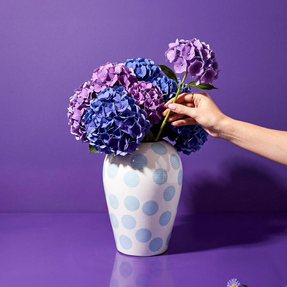 Vaso Canopie Kiki Seletti in porcellana – design Elena Cutolo