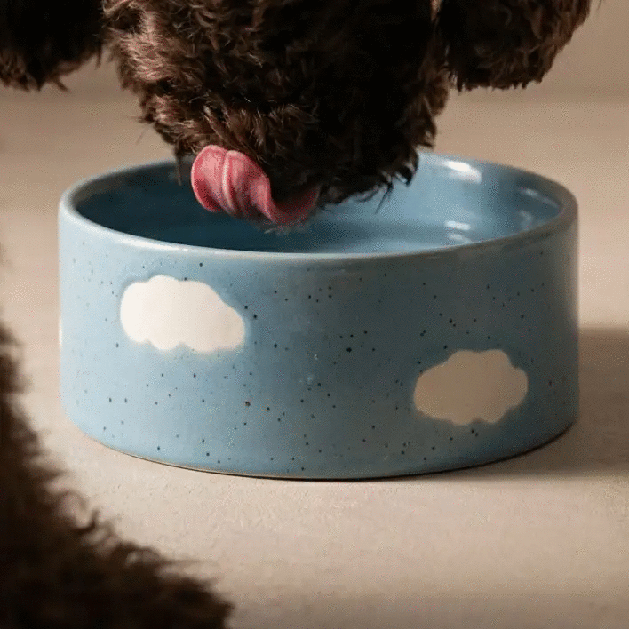 Set 2 ciotole per animali Cloud Azzurro in gres 16,5 cm