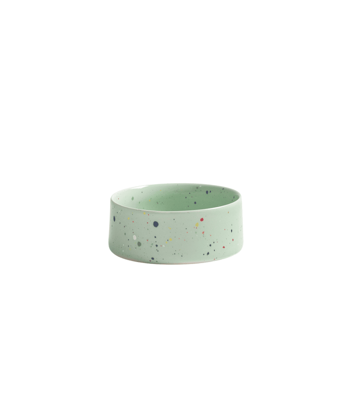 Ciotola per Cani e Gatti verde con puntini colorati. Immagine su sfondo bianco.