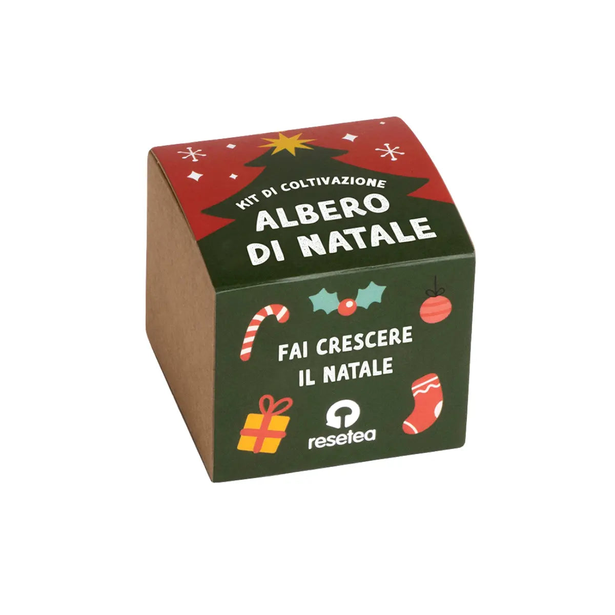 Scatola kit di autocoltivazione dell'albero di Natale di Resetea