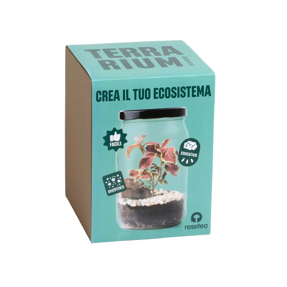 Confezione azzurra Terrarium, scritta crea il tuo ecosistema by Resetea