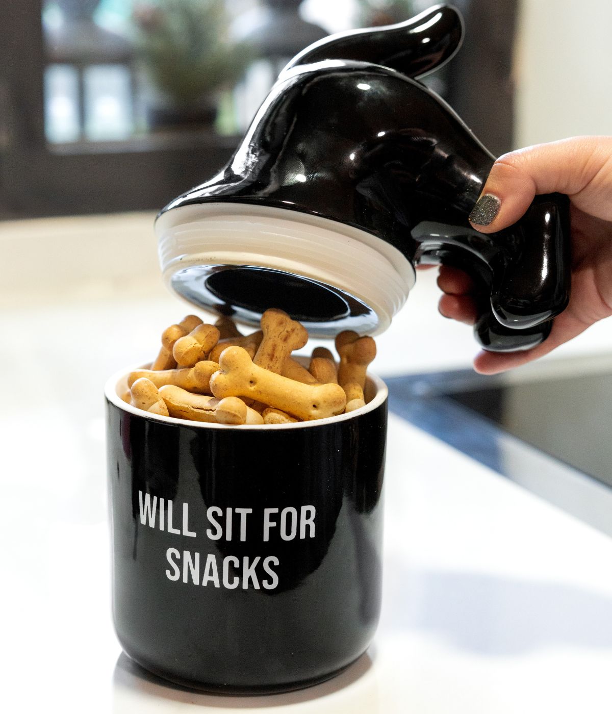 Mano che apre il coperchio a forma di sedere di cane che contiene biscotti a forma di osso.