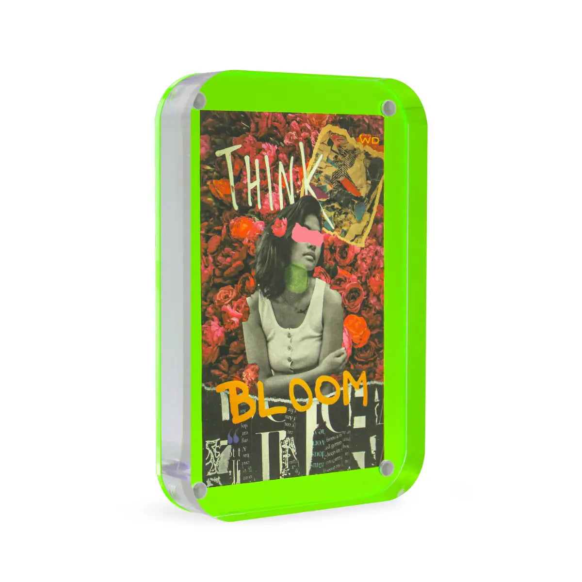 Corniche con chiusura magnetica grande con sfondo verde. Sfondo bianco 