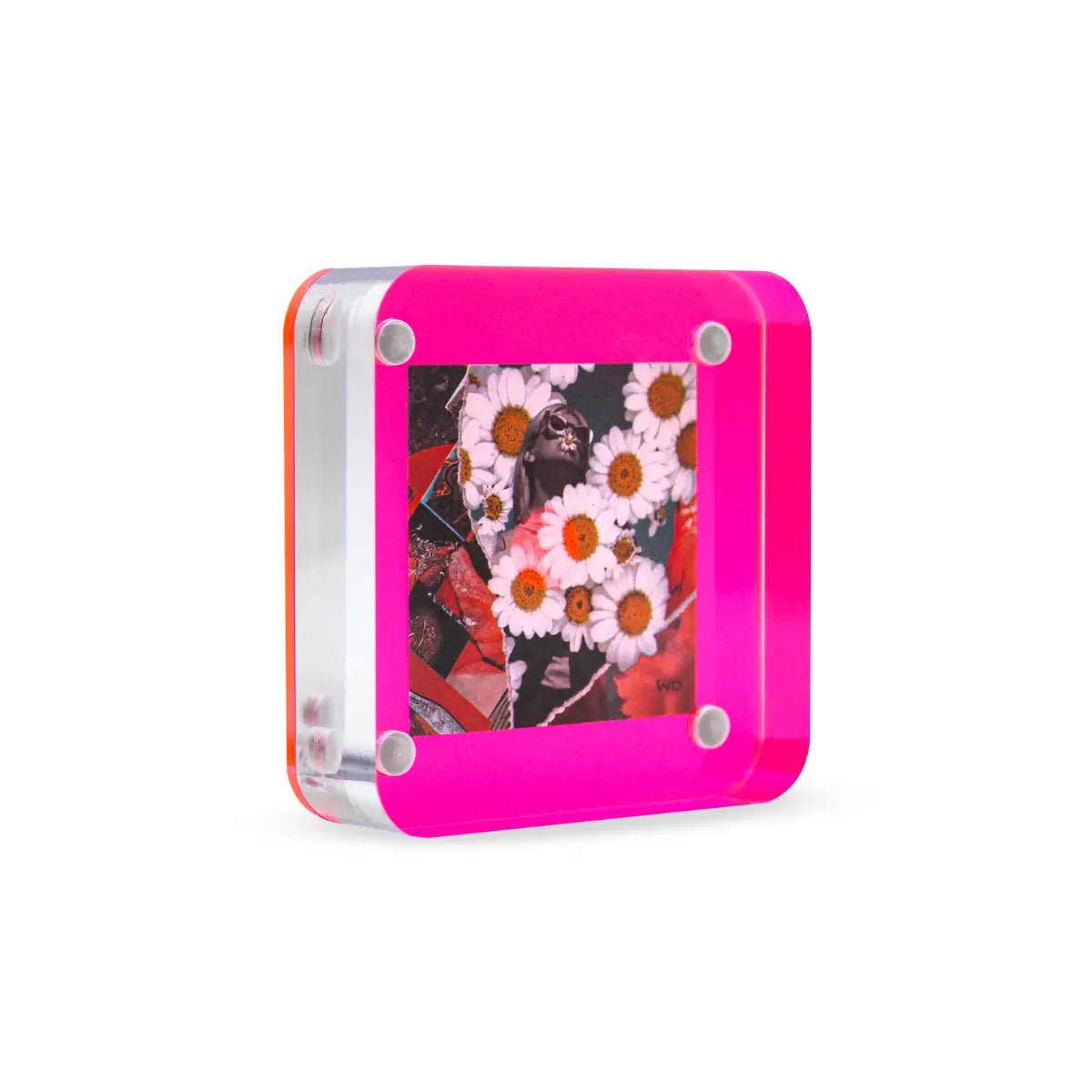 Cornice magnetica in acrilico con chiusura magnetica con base fucsia. Sfondo bianco