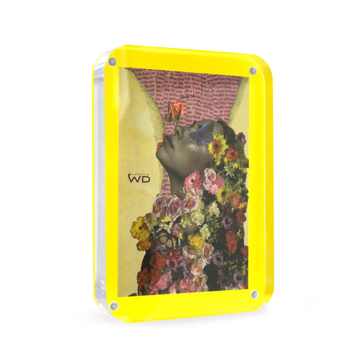 Corniche con chiusura magnetica grande con sfondo giallo. Sfondo bianco 