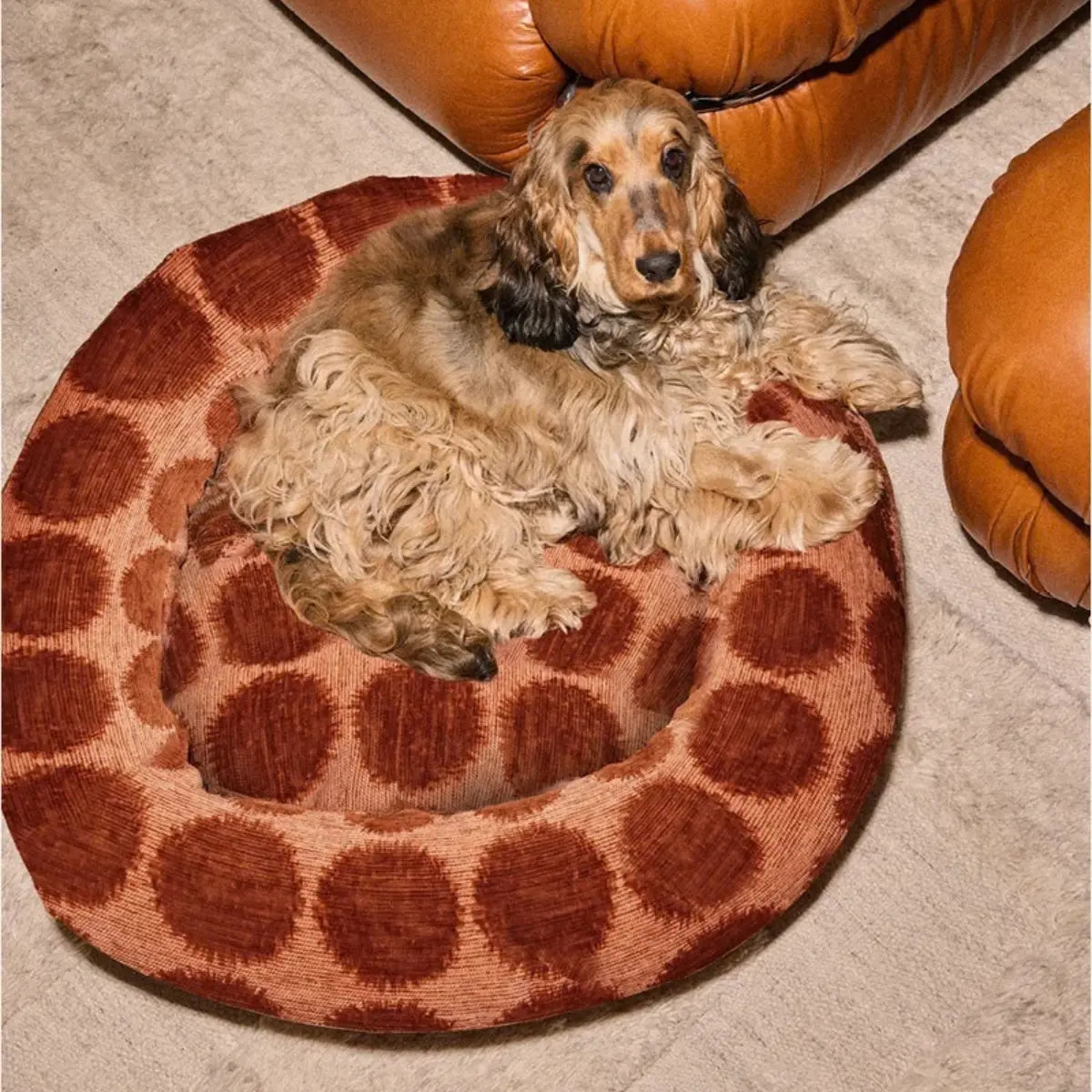Cuccia rotonda per cani Pois moka e marrone taglia S
