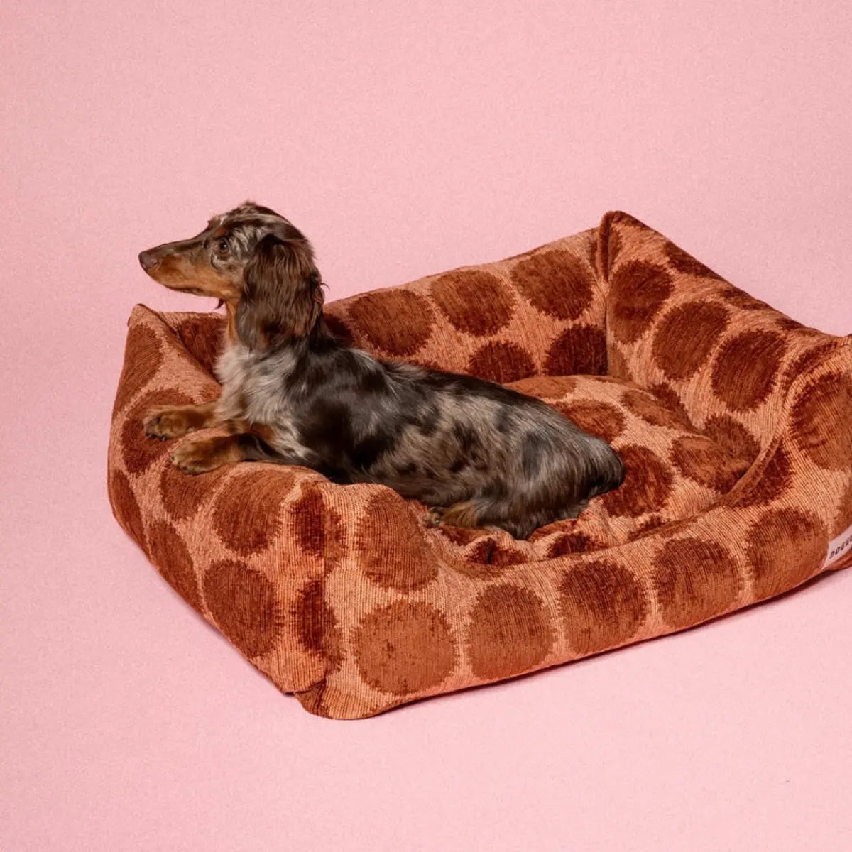 Cuccia sofa per cani in jacquard moka e marrone – Taglia M