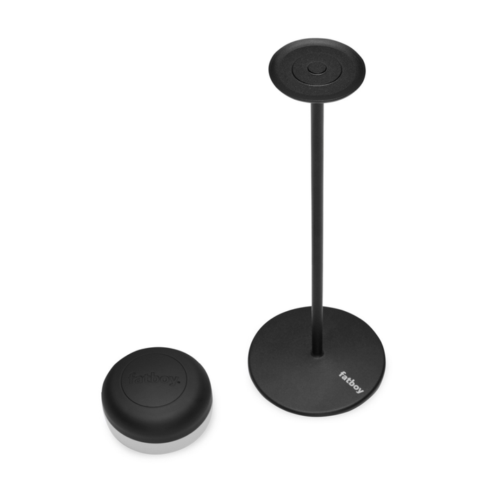 Lampada antracite con stelo e lampadina dimerabile staccata. Immagine su sfondo bianco