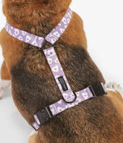 Dettaglio parte alta pettorina viola con fiori bianchi. Ganci e fibbie nere. Indossata da un Beagle