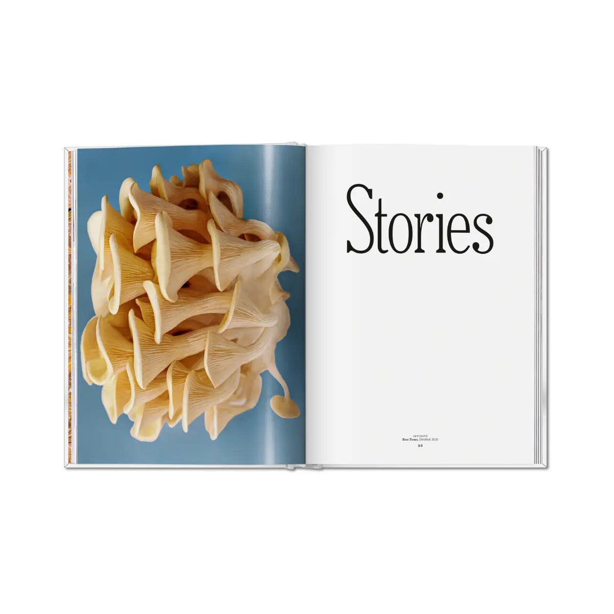 Due pagine del libro The Gourmand's Mushroom, A Collection of Stories and Recipes.