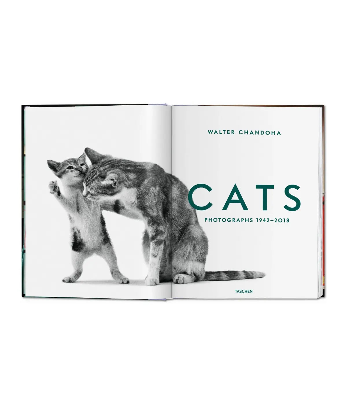 Pagine bianche scritte Cats, Photographs 1942-2018, Walter Chandoha verdi. Due gatti grigi tigrati. 