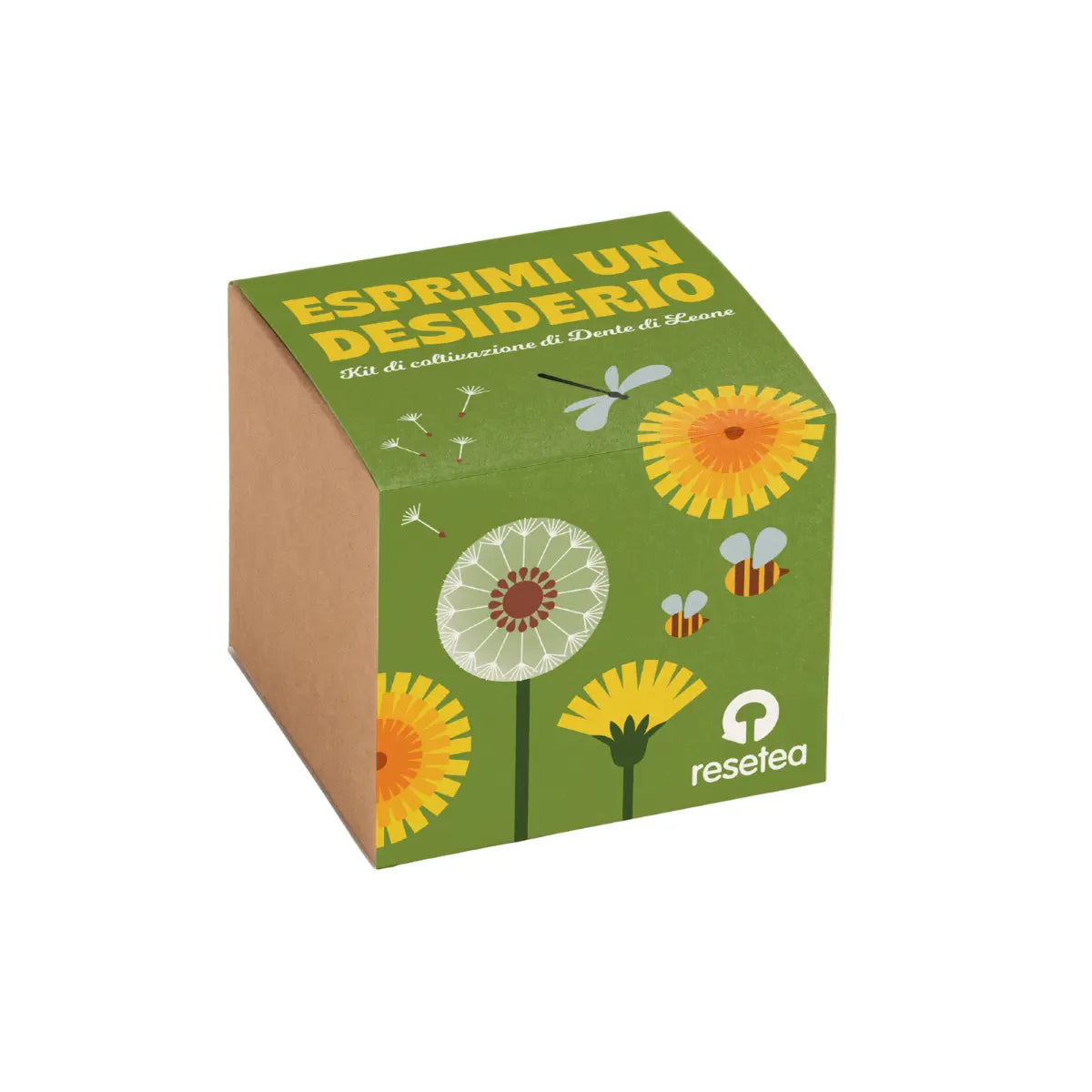 Esprimi un desiderio kit di coltivazione del dente di leone – Resetea
