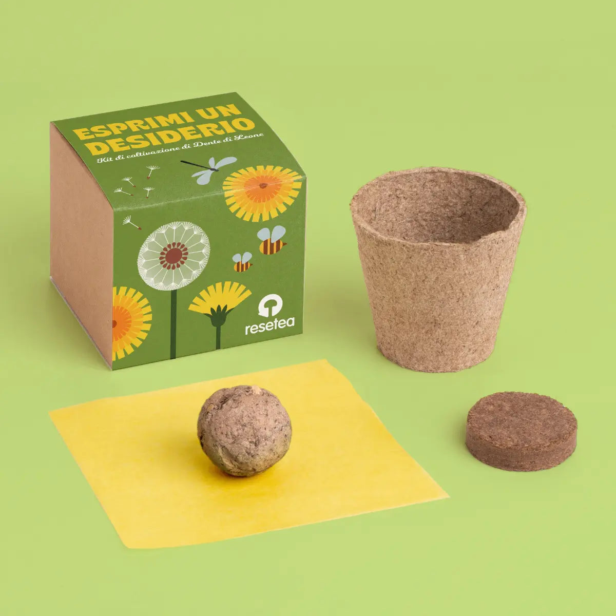 Esprimi un desiderio kit di coltivazione del dente di leone – Resetea