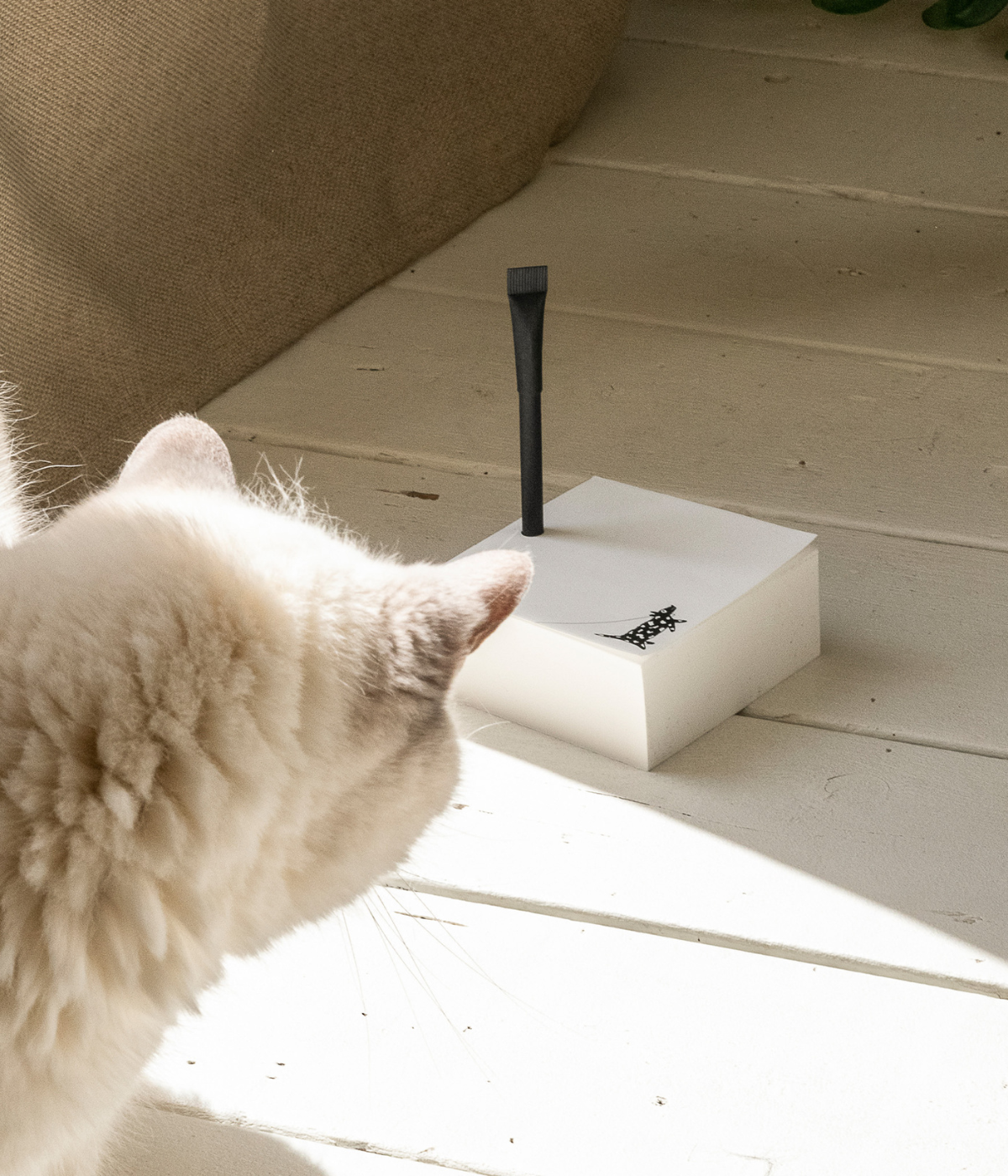 Gatto bianco che guarda il Blocknote con penna nera e disegno cane al guinzaglio. Sfondo pavimento.