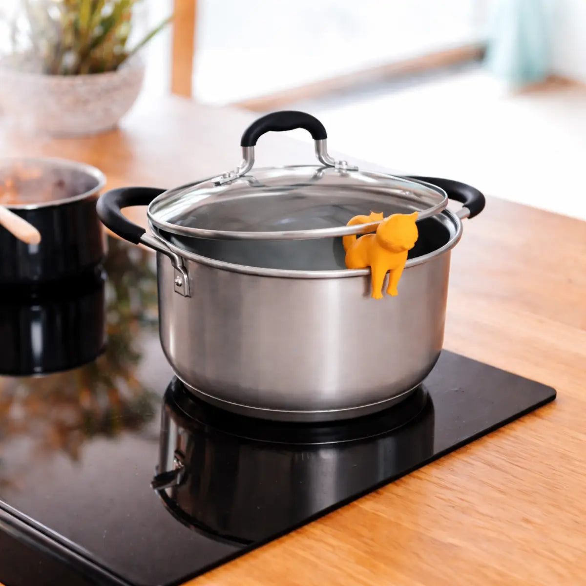 Gatto che sorregge il coperchio