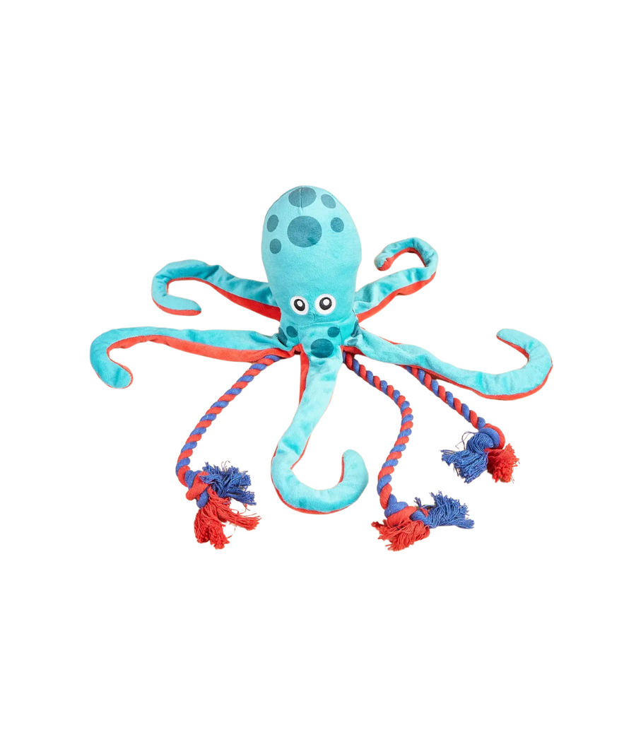 Gioco per cani a forma di polipo. Azzurro e rosso con tentacoli in corda rossi e blu. Sfondo bianco