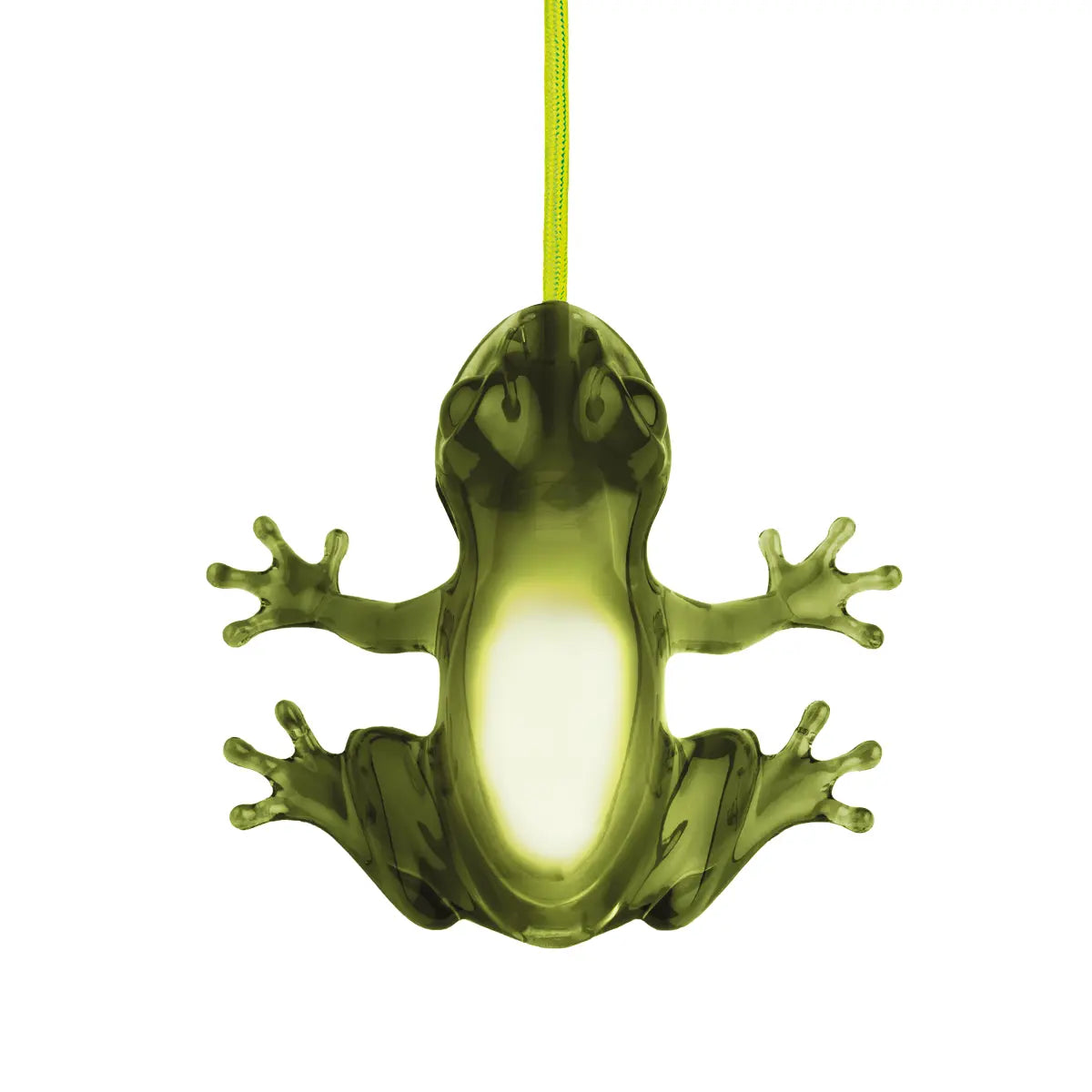 Lampada da tavolo o da parete verde a forma di rana con cavo verde 
