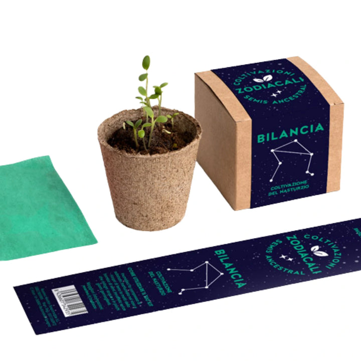 Contenuto confezione kit autocoltivazione segno bilancia. Vasetto biodegradabile con piantina e scatola. 