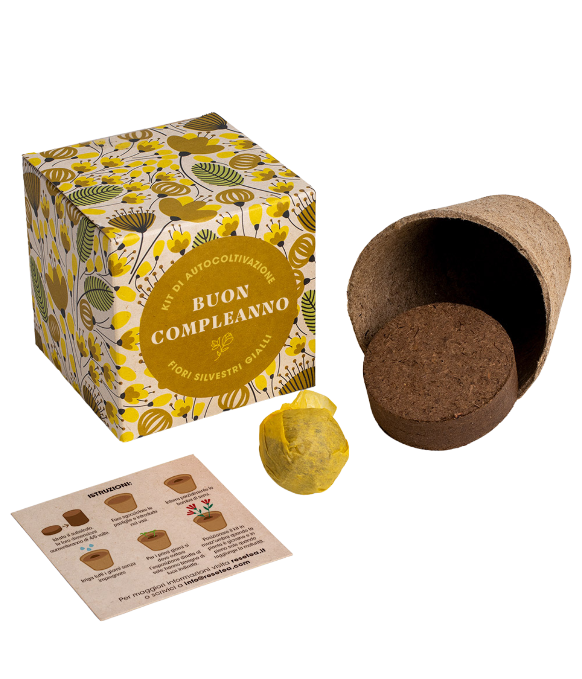 Kit di autocoltivazione con scatola Buon Compleanno, istruzioni, vaso in materiale bio degradabile, pastiglia di terra e bomba di fiori gialli silvestri. Immagine su sfondo bianco