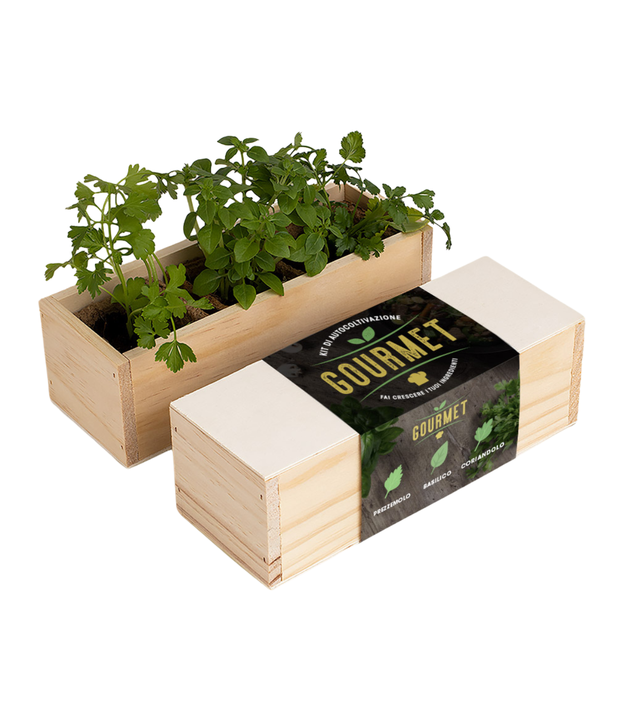 cassetta di legno con scritta gourmet e tre piante verdi, una di prezzemolo, una di basilico e una di coriandolo
