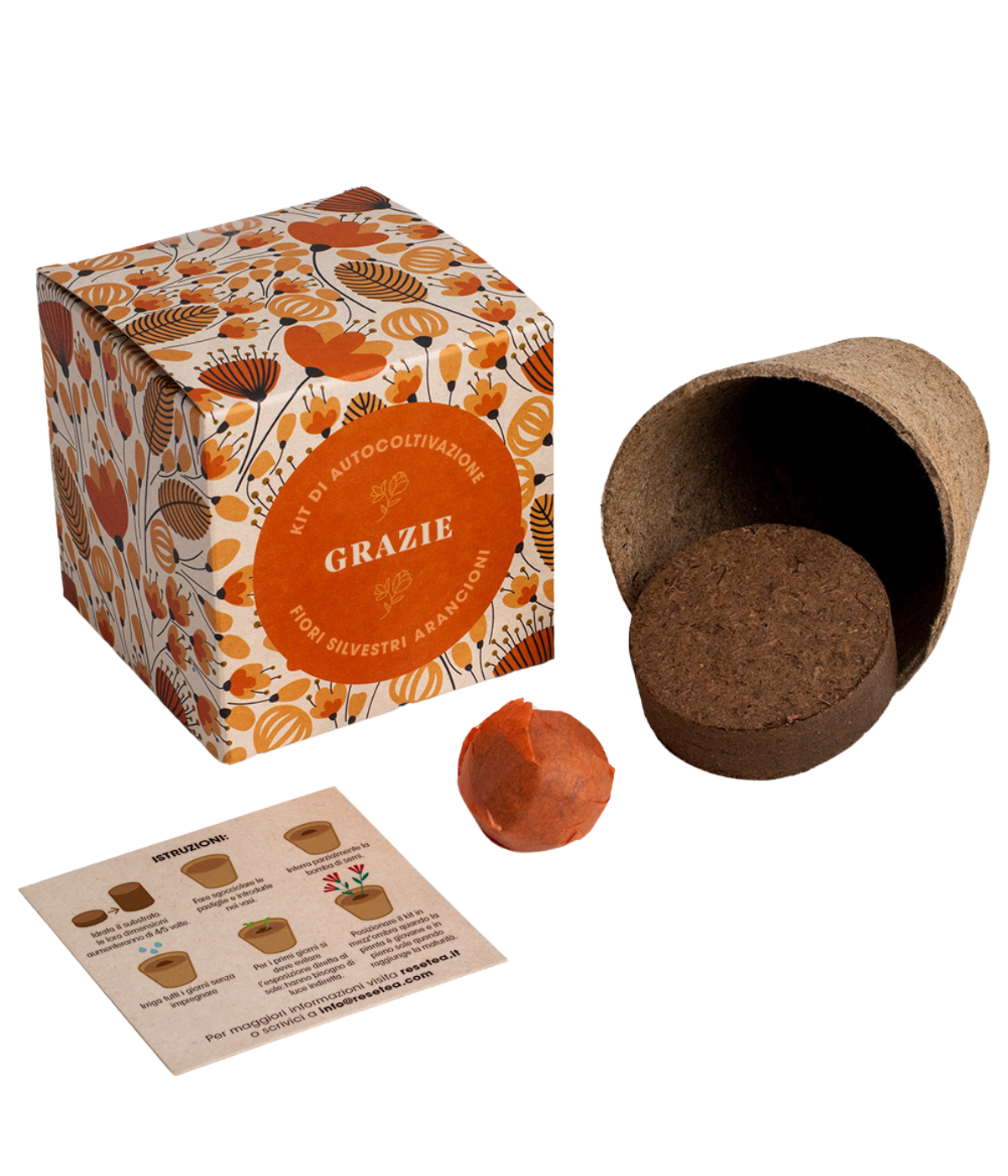 Scatola kit di autocoltivazione, scritta Grazie, fiori arancioni, capsula di terreno, bomba di fiori arancioni, istruzioni