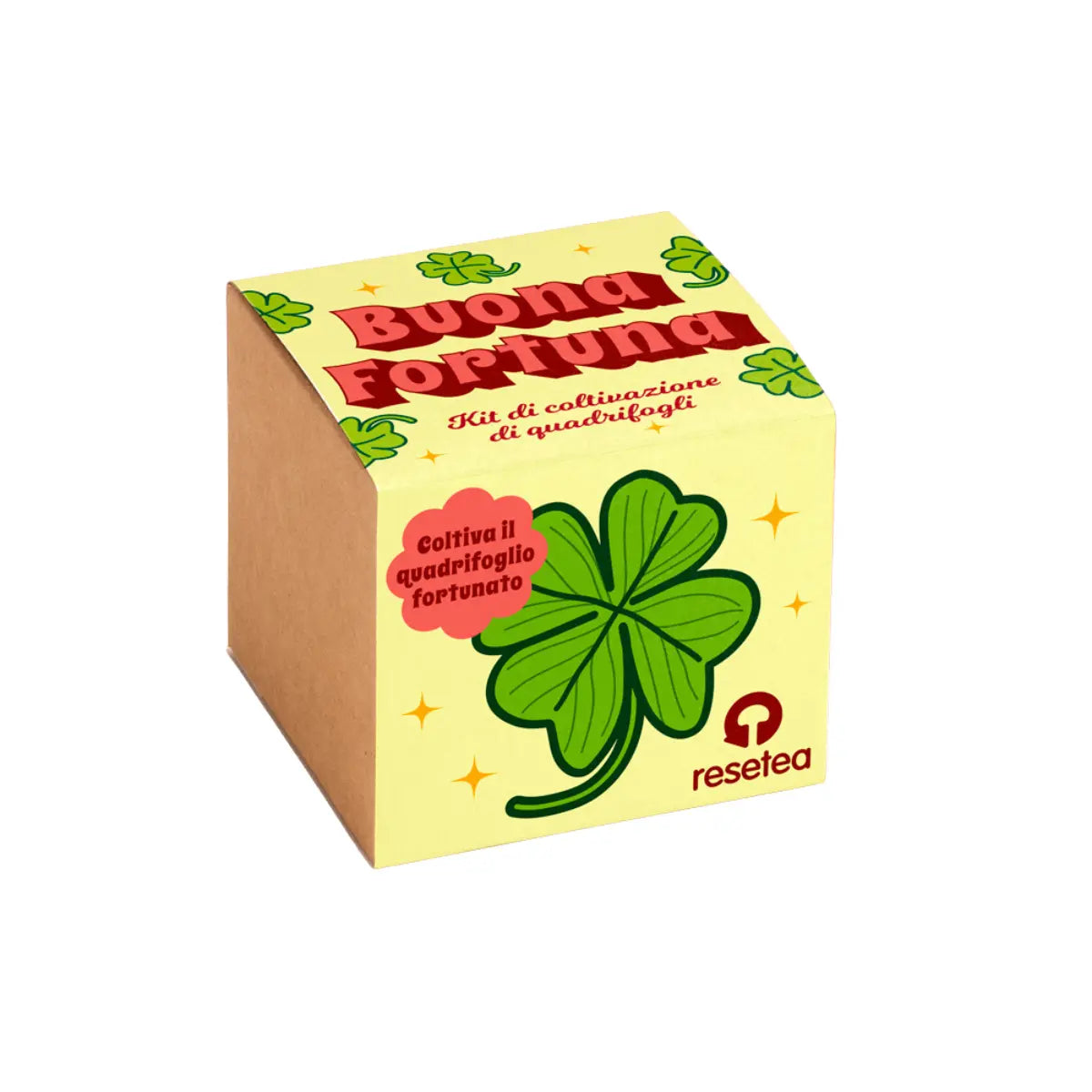 Kit di coltivazione del quadrifoglio simbolo di buona fortuna