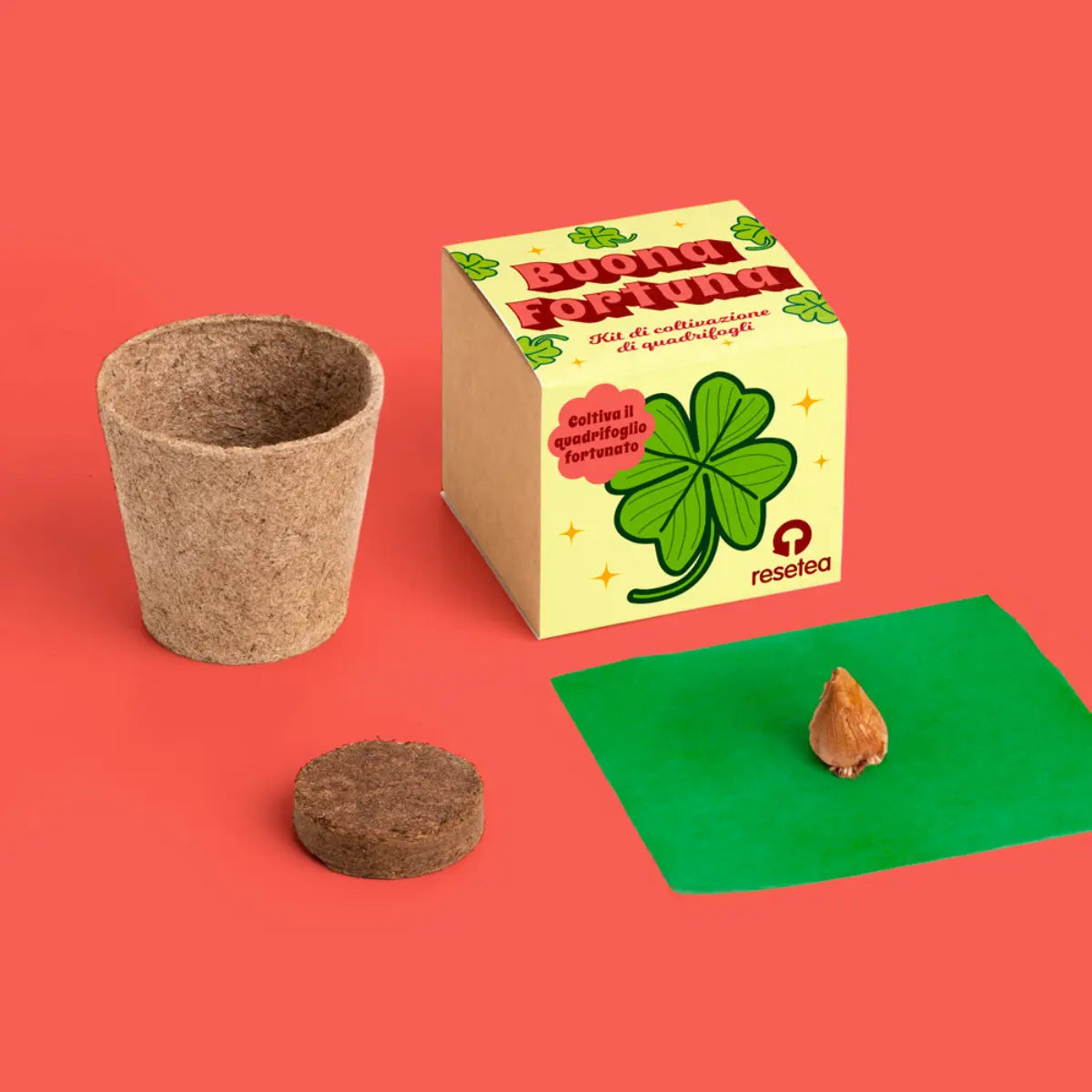 Kit coltivazione quadrifoglio con seme, vasetto biodegradabile e substrato