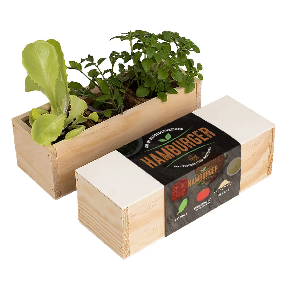 Kit di autocoltivazione per gli hamburger con lattuga, pomodoro e senape