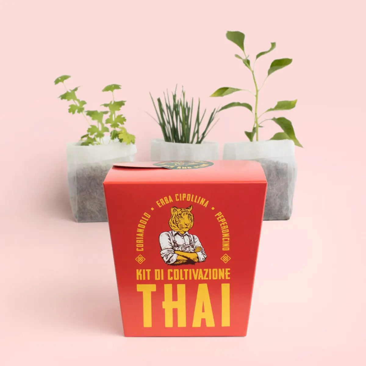 Kit autocoltivazione Thai con le piantine di coriandolo, erba cipollina e peperoncino 