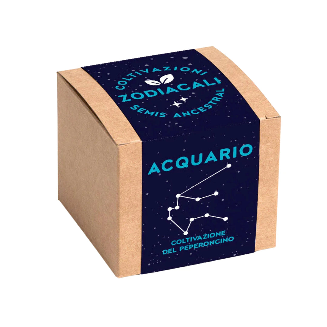 Confezione Kit autocoltivazione con disegno costellazione zodiacale dell'Acquario. Sfondo bianco